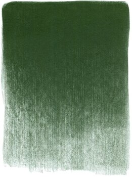 Suhi pastel PanPastel Artists’ Suhi pastel 640.1 Permanent Green Extra Dark 1 kom - 4