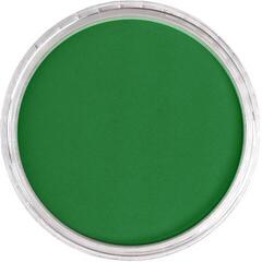 Myk pastell PanPastel Artists’ Painting Pastel 640.3 Permanent Green Shade - 1