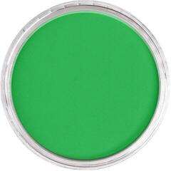 Trockenes Pastell PanPastel Artists’ Trockenpastell 640.5 Permanent Green 1 stk - 1
