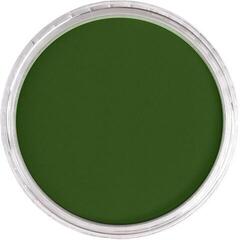 Droge pastel PanPastel Artists’ Droogpastel 660.5 Chromium Oxide Green 1 stuk - 1