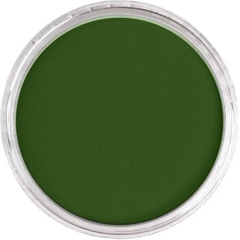 Suhi pastel PanPastel Artists’ Suhi pastel 660.5 Chromium Oxide Green 1 kom - 2