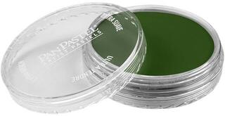 Droge pastel PanPastel Artists’ Droogpastel 660.5 Chromium Oxide Green 1 stuk - 2