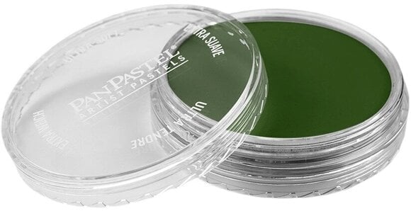 Suhi pastel PanPastel Artists’ Suhi pastel 660.5 Chromium Oxide Green 1 kom - 3
