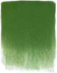 Droge pastel PanPastel Artists’ Droogpastel 660.5 Chromium Oxide Green 1 stuk - 3