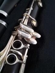 Bb Clarinet Roy Benson CB 418 Bb Clarinet (Pre-owned) - 2