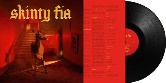 LP ploča Fontaines D.C. - Skinty Fia (LP) - 2