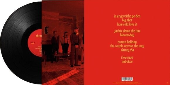 LP ploča Fontaines D.C. - Skinty Fia (LP) - 3