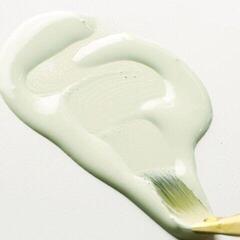 Acrylverf Golden Artist Colors High Flow Acrylverf Titaan Green Pale 30 ml 1 st. - 2