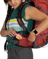 Lifestyle Backpack / Bag Osprey Tempest Backpack Frosty Mint Green/Botanica 33 L - 4