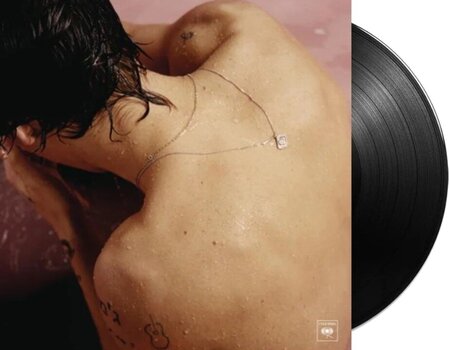 LP ploča Harry Styles - Harry Styles (Gatefold Sleeve) (LP) - 2