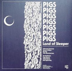 LP ploča Pigs Pigs Pigs Pigs Pigs Pigs Pigs - Land of Sleeper (Orange ‘Lucid Dreaming’ Coloured) (LP) - 4