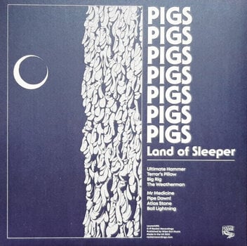 LP ploča Pigs Pigs Pigs Pigs Pigs Pigs Pigs - Land of Sleeper (Orange ‘Lucid Dreaming’ Coloured) (LP) - 5