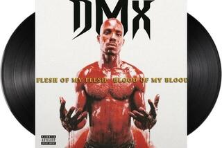 Schallplatte DMX - Flesh of My Flesh, Blood of My Blood (180 g) (2 LP) - 1