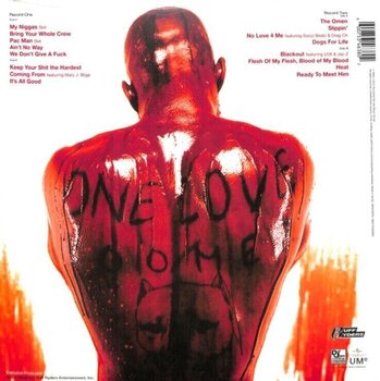 LP ploča DMX - Flesh of My Flesh, Blood of My Blood (180 g) (2 LP) - 3