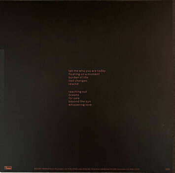 Disc de vinil Beth Gibbons - Lives Outgrown (LP) - 5