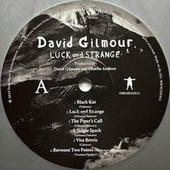 Disque vinyle David Gilmour - Luck And Strange (Gatefold Sleeve) (Silver Opaque Coloured) (LP) - 2