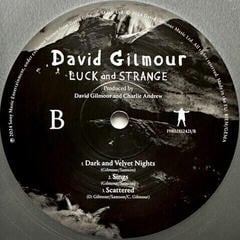 Disque vinyle David Gilmour - Luck And Strange (Gatefold Sleeve) (Silver Opaque Coloured) (LP) - 3