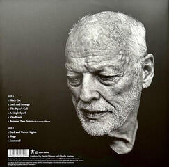 Disque vinyle David Gilmour - Luck And Strange (Gatefold Sleeve) (Silver Opaque Coloured) (LP) - 4