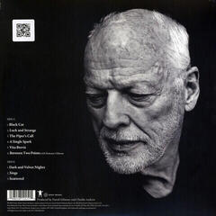 Disque vinyle David Gilmour - Luck And Strange (Emerald Green Translucent Coloured) (LP) - 3