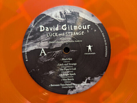 Disc de vinil David Gilmour - Luck And Strange (Orange Crush Coloured) (LP) - 3