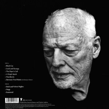 Disc de vinil David Gilmour - Luck And Strange (Orange Crush Coloured) (LP) - 5