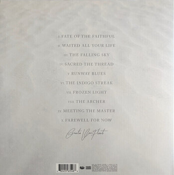 LP ploča Greta Van Fleet - Starcatcher (Limited Edition) (Black Ice Translucent + Glitter Coloured) (LP) - 5