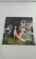 SZA - Ctrl (2 LP)