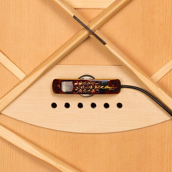 Pick-up voor akoestische gitaar L.R. Baggs Lyric Classical Pick-up voor akoestische gitaar - 2