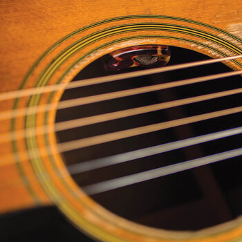 Pick-up voor akoestische gitaar L.R. Baggs Lyric Classical Pick-up voor akoestische gitaar - 3