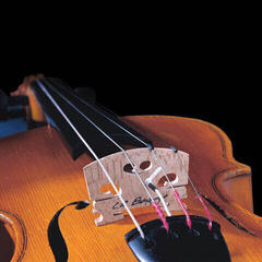 Folklore Instrument Pickup L.R. Baggs Vio Folklore Instrument Pickup - 1