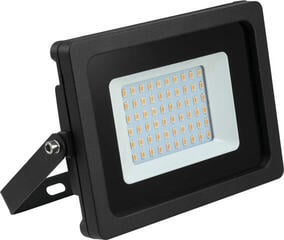 UV-lys Eurolite LED IP FL-30 SMD UV UV-lys - 2