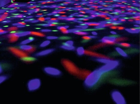 Lichteffect Eurolite LED BC-3 Lichteffect - 7