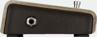 Gitarrenverstärker L.R. Baggs Align Active DI Gitarrenverstärker - 1