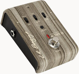 Gitarrenverstärker L.R. Baggs Align Active DI Gitarrenverstärker - 2