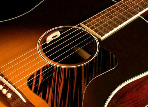 Pickup for Acoustic Guitar L.R. Baggs Anthem-SL - 5