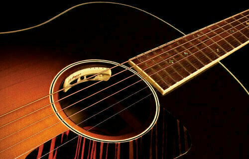 Pickup for Acoustic Guitar L.R. Baggs Anthem-SL - 7