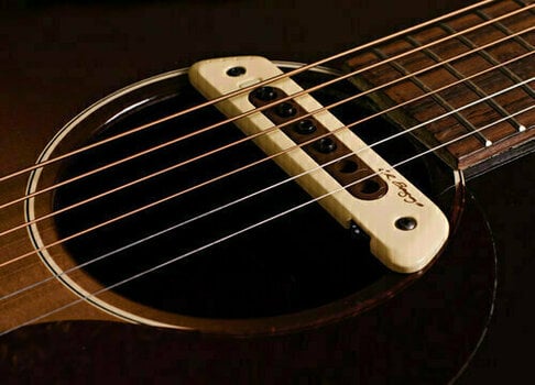 Pick-up voor akoestische gitaar L.R. Baggs M80 - 5