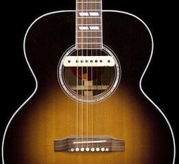 Micro guitare acoustique L.R. Baggs M1 Micro guitare acoustique - 1