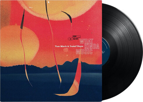 Hanglemez Tom Misch & Yussef Dayes - What Kinda Music (180 g) (Gatefold Sleeve) (2 LP) - 2