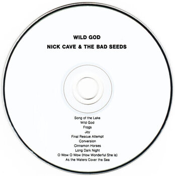 Glasbene CD Nick Cave & The Bad Seeds - Wild God (CD) - 2