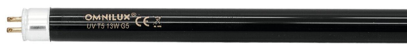 Unghiul fasciculului