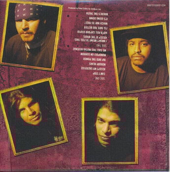 CD muzica Suicidal Tendencies - Original Album Classics (5 CD) - 13