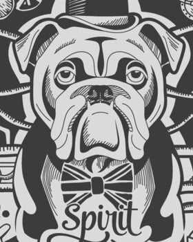 Microfono a Condensatore da Studio Aston Microphones Spirit 5th Anniversary Edition Microfono a Condensatore da Studio - 9