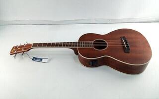 Akustická basgitara Ibanez PNB14E-OPN Open Pore Natural Akustická basgitara (Zánovné) - 1