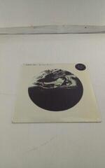 LP deska Amos Lee - My New Moon (LP) (Pouze rozbaleno) - 1