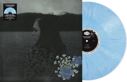 Disc de vinil Soccer Mommy - Evergreen (Indie Exclusive) (Limited Edition) (Sky Blue Marble Coloured) (LP) - 2