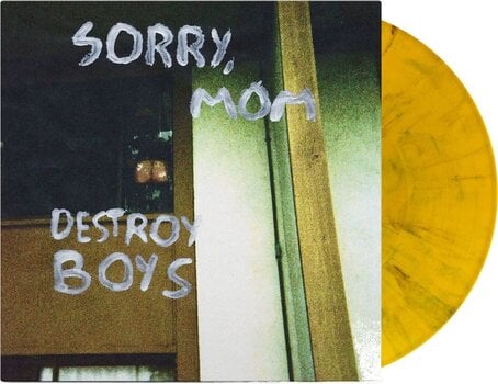 LP ploča Destroy Boys - Sorry Mom (Indie Exclusive) (Opaque Yellow & Black Coloured) (LP) - 2