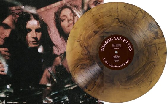 LP ploča Sharon Van Etten - Sharon Van Etten & The Attachment Theory (Amber Galaxy Coloured) (Indie Exclusive) (LP) - 2