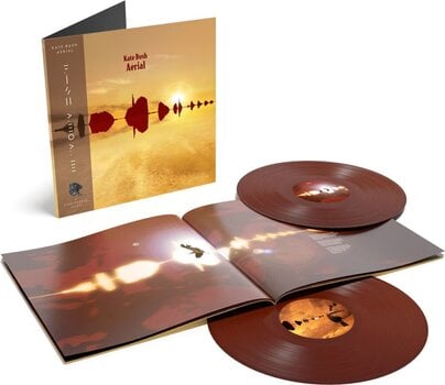 Disc de vinil Kate Bush - Aerial (180 g) (Remastered) (Indie Exclusive) (Gold / Orange Coloured) (2 LP) - 2