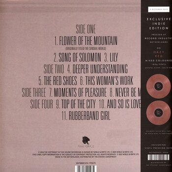 LP ploča Kate Bush - Director's Cut (180 g) (Remastered) (Indie Exclusive) (Hazy Red Coloured) (2 LP) - 3